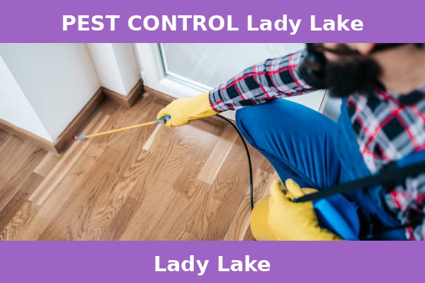 PEST CONTROL Lady Lake